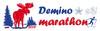 VIII Традиционный Международный Деминский лыжный марафон WORLDLOPPET 2015!